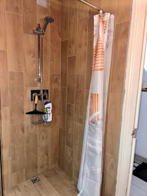 Pont Achard #2-t1bis-mezzanine -5mngare- Apartment Poitiers